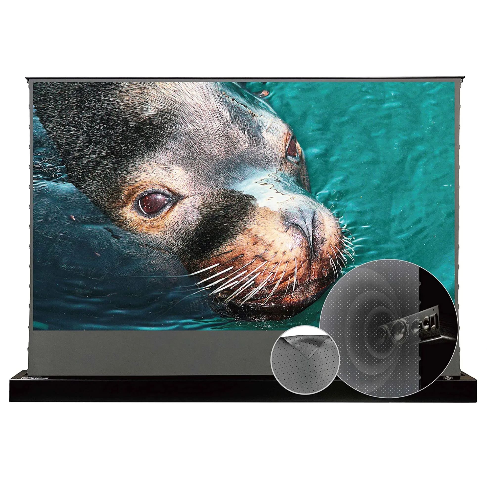 💗OMG! Huge discounts are coming!🍿Motorized Floor-Rising Projection Screen🚀