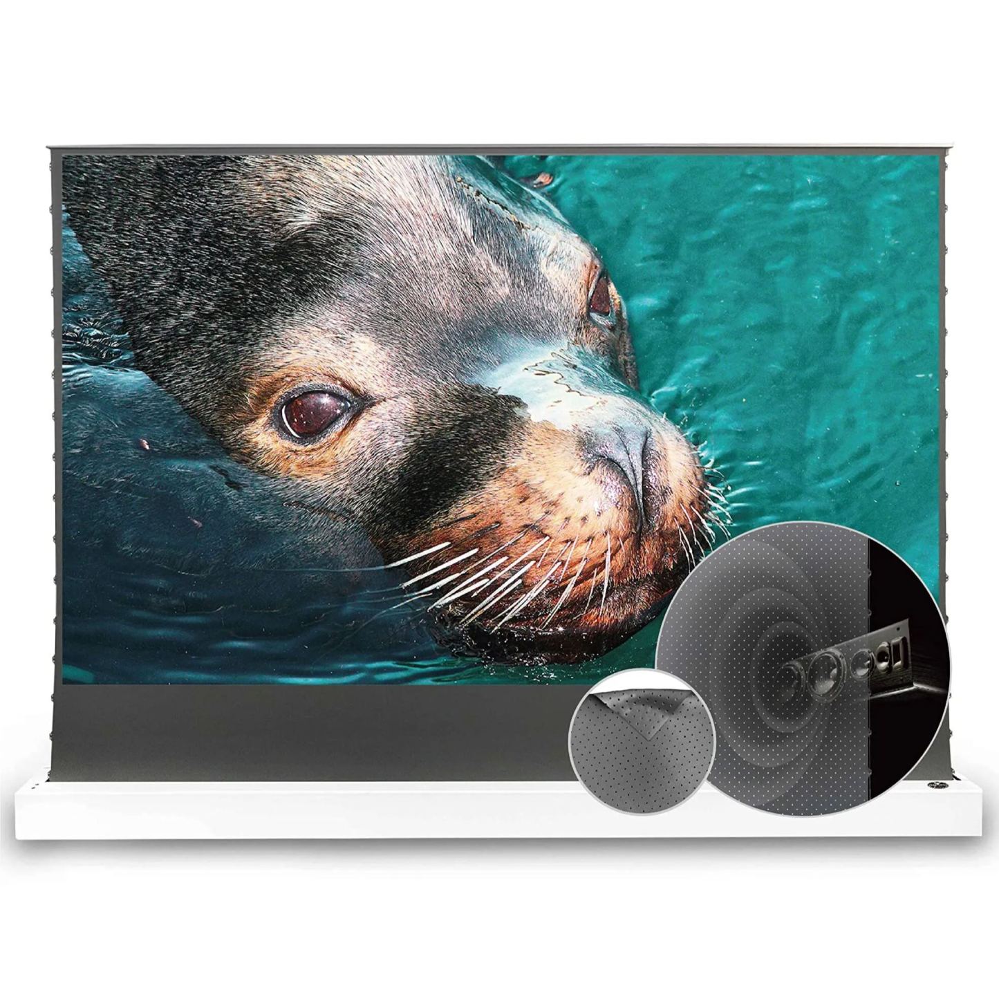 💗OMG! Huge discounts are coming!🍿Motorized Floor-Rising Projection Screen🚀