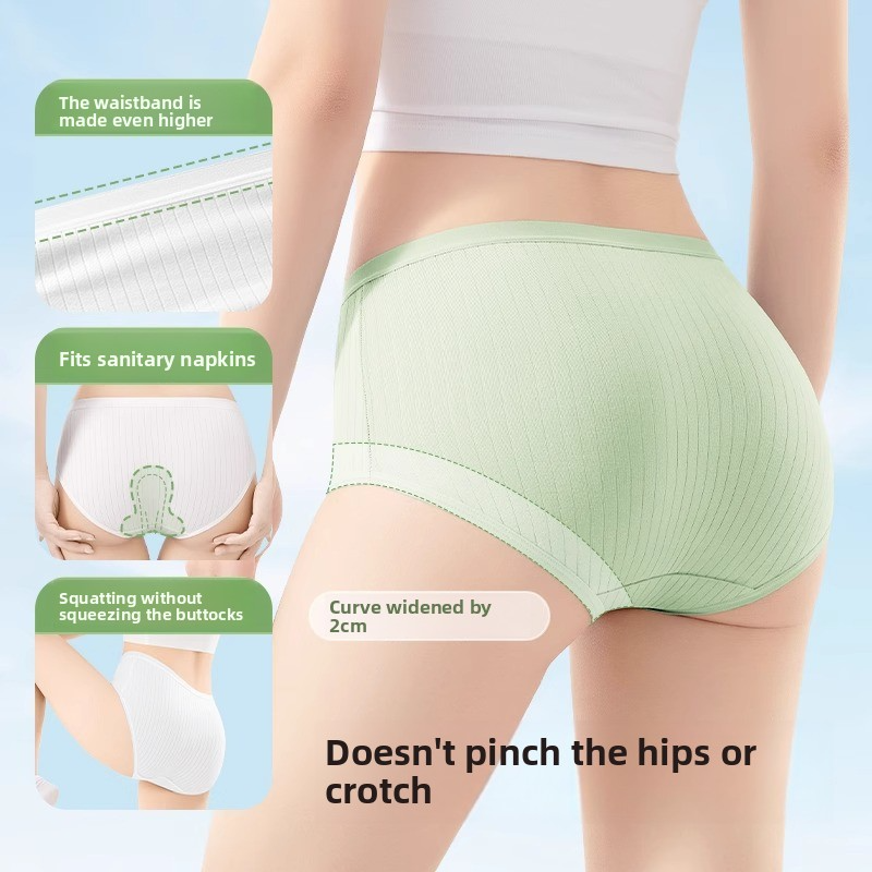Disposable Cotton Underwear – 4-Pack, Individually Wrapped Briefs