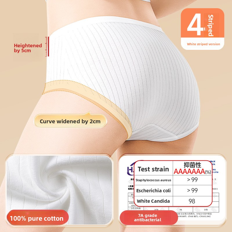 Disposable Cotton Underwear – 4-Pack, Individually Wrapped Briefs