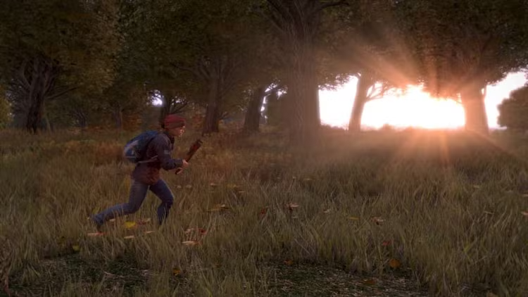 DayZ PC Steam Account
