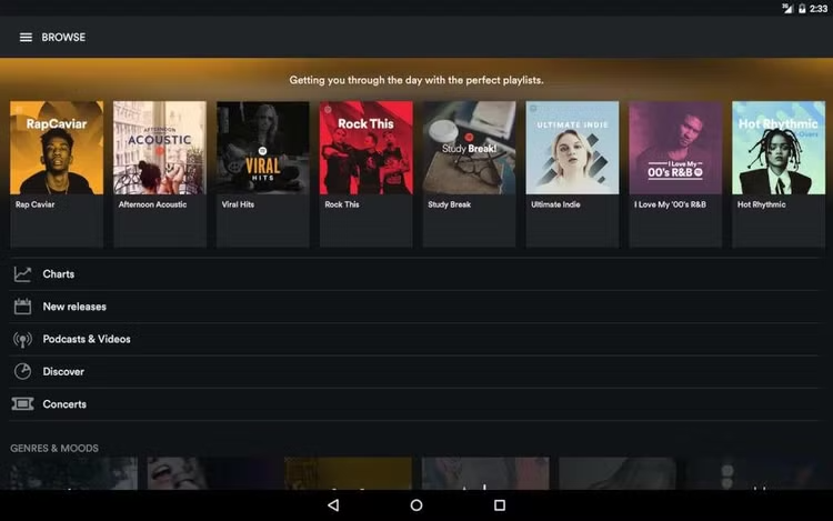 Spotify 1-month Premium Account