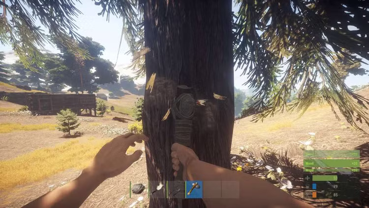 RUST Steam Account