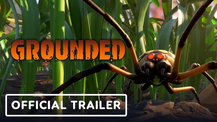 Grounded Steam Account