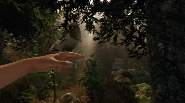 The Forest Steam Account