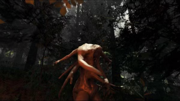 The Forest Steam Account