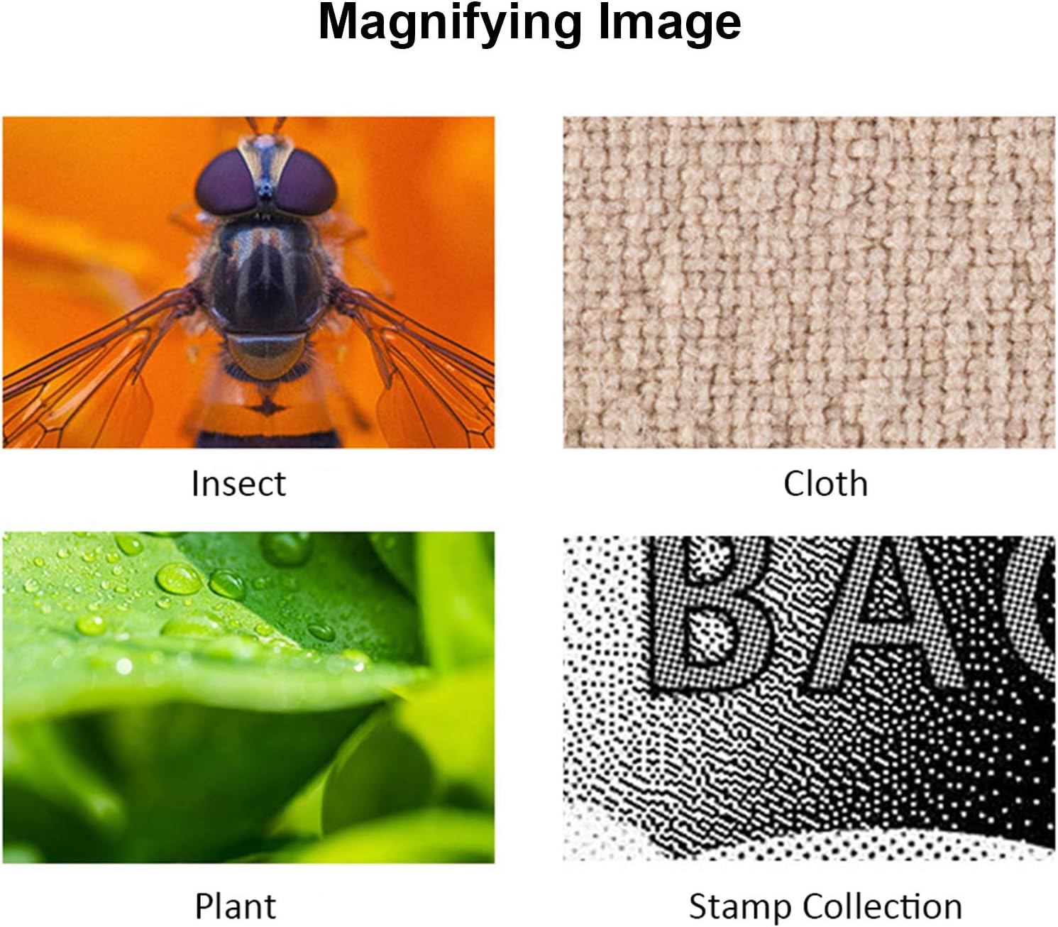 🔬1600X  Zoom Digital Microscope Camera Portable Magnifier🔍
