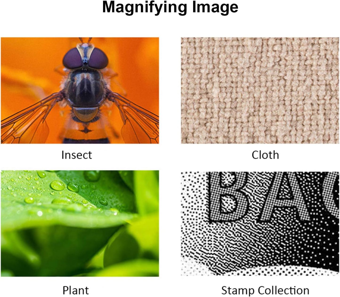 🔬1600X  Zoom Digital Microscope Camera Portable Magnifier🔍