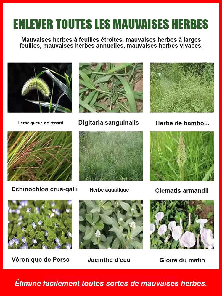 🌿💀 Herbicide agricole ultra-performant, résultat visible en seulement 3 heures ⏰. Une seule pulvérisation agit toute l’année, son effet stable et durable dure jusqu’à 5 ans et empêche définitivement la repousse des mauvaises herbes ♻️.