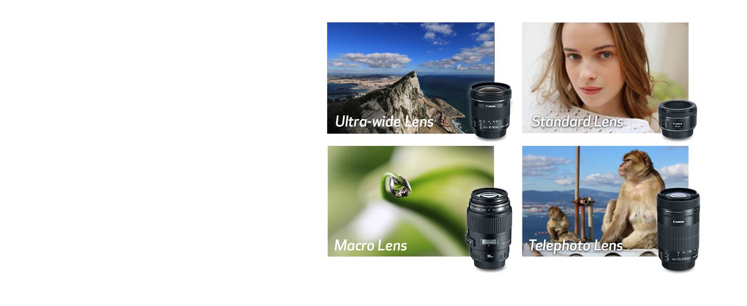 Explore Your Creativity with EF Lenses