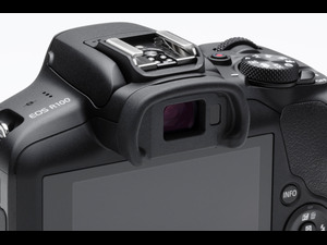 R100 VIEWFINDER