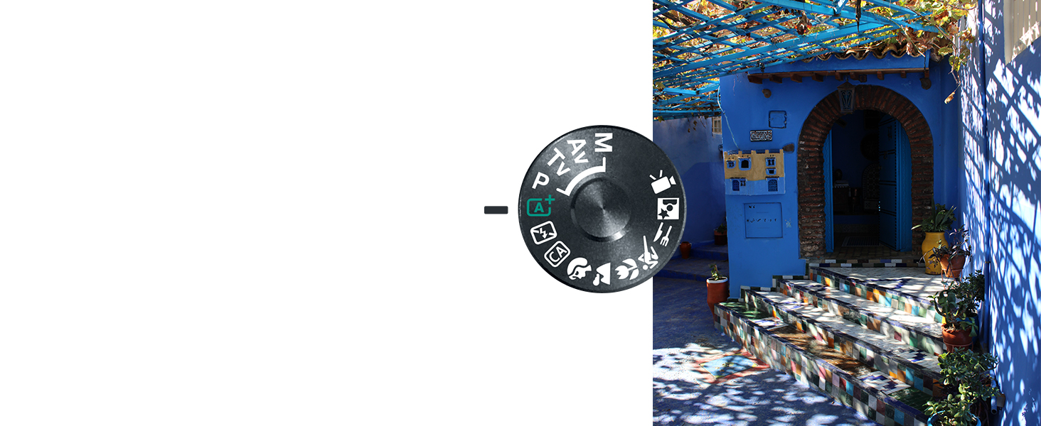 Compose the Image You Want