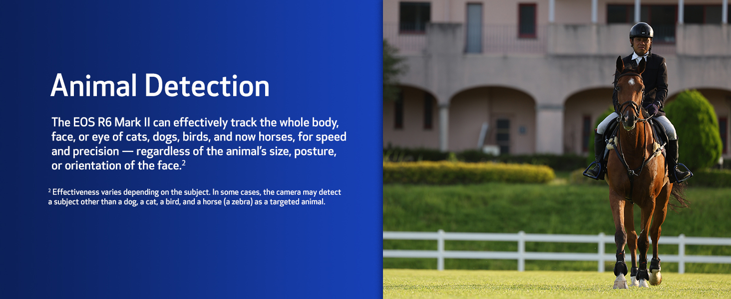 IG - EOS R6 Mark II RF24-105mm F4-7.1 IS STM Lens Kit - B0BL7X3KLV