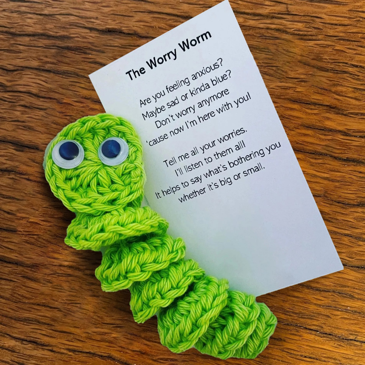 Worry Worms Christmas Gift