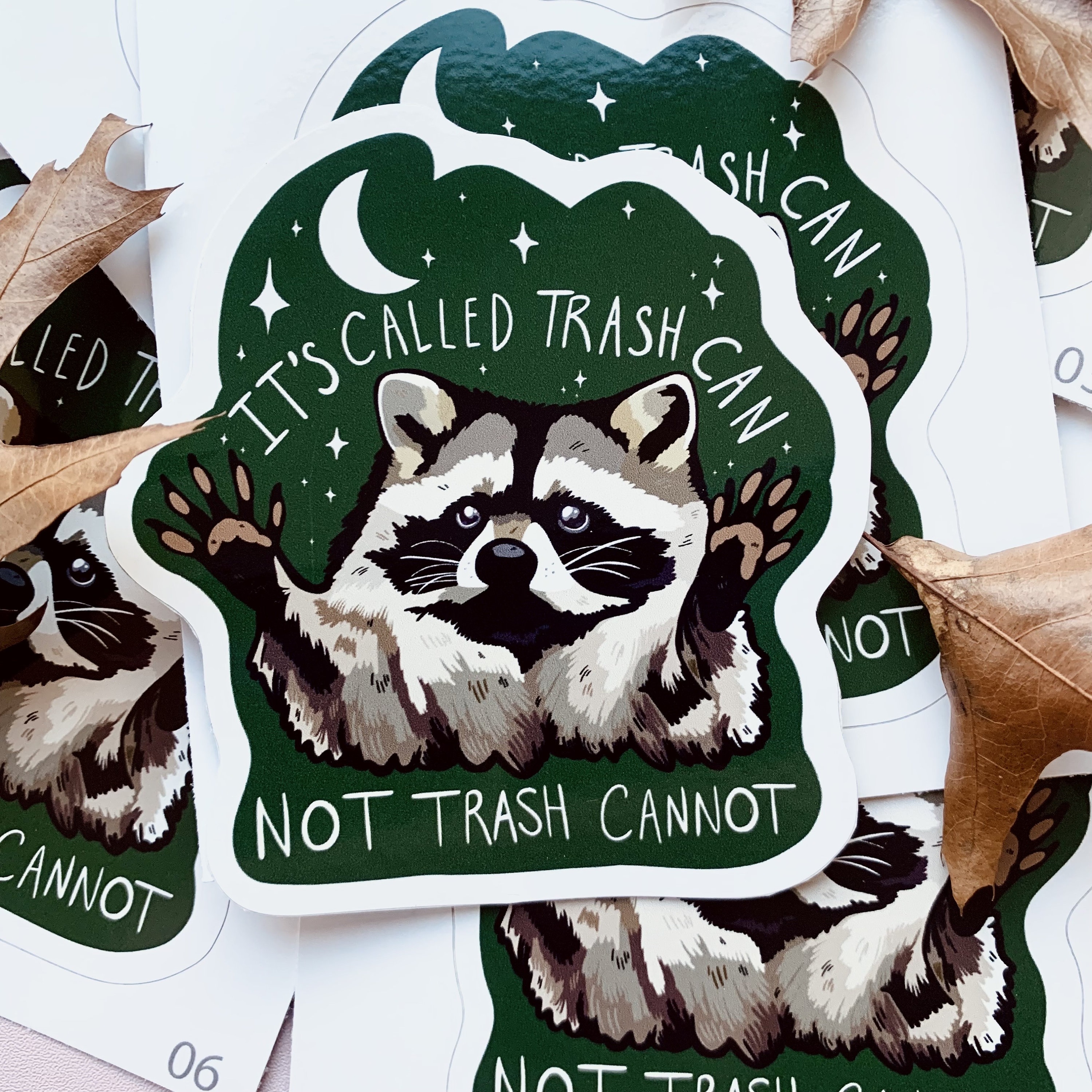 🦝🗑️Funny Raccoon Sticker