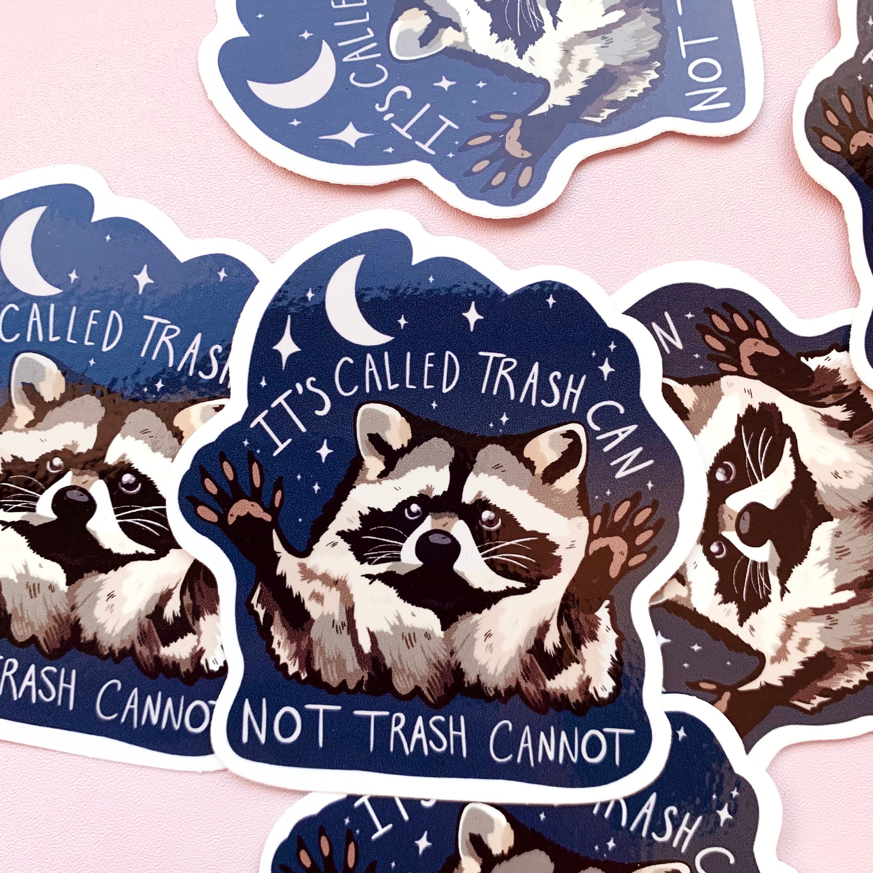 🦝🗑️Funny Raccoon Sticker