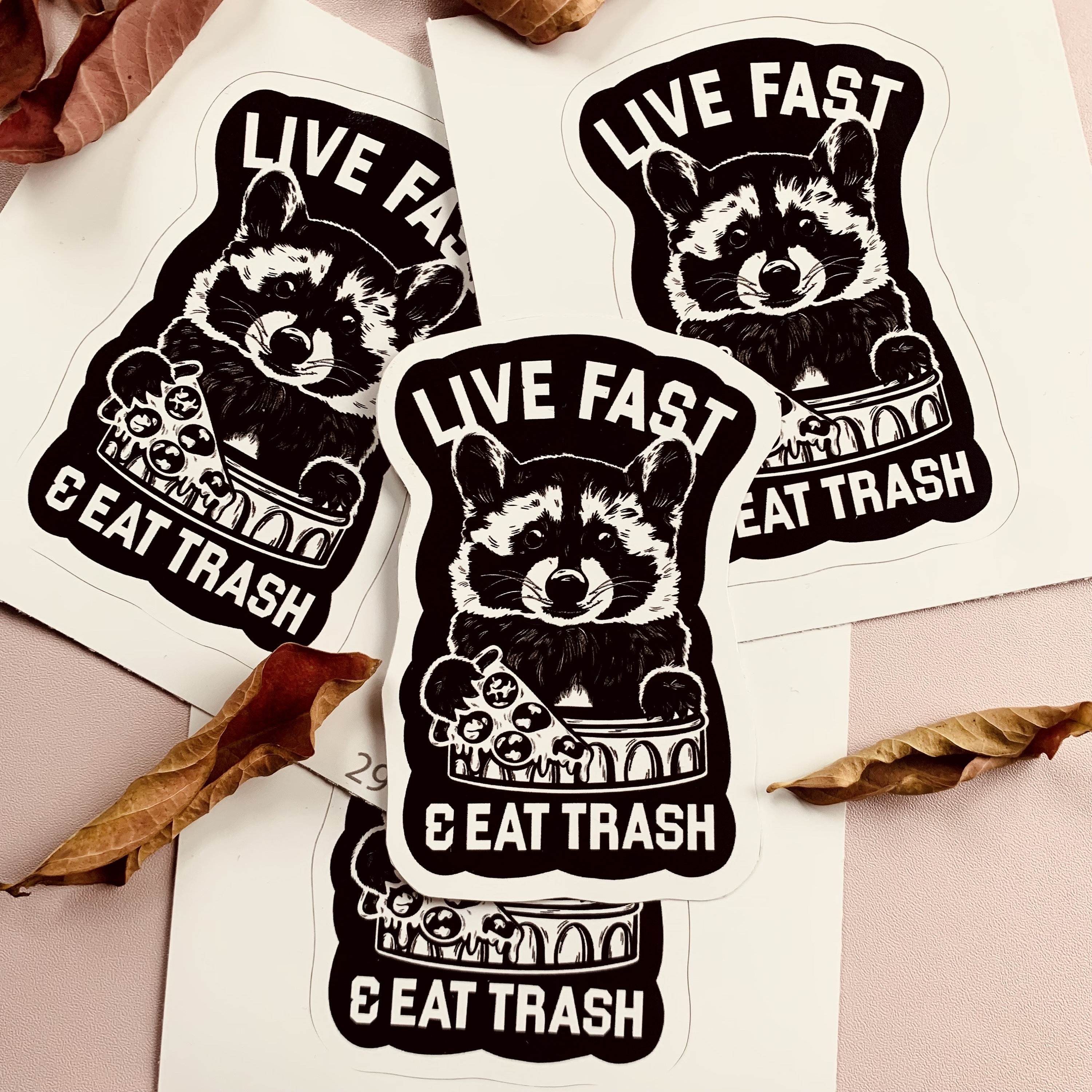 🦝🗑️Funny Raccoon Sticker