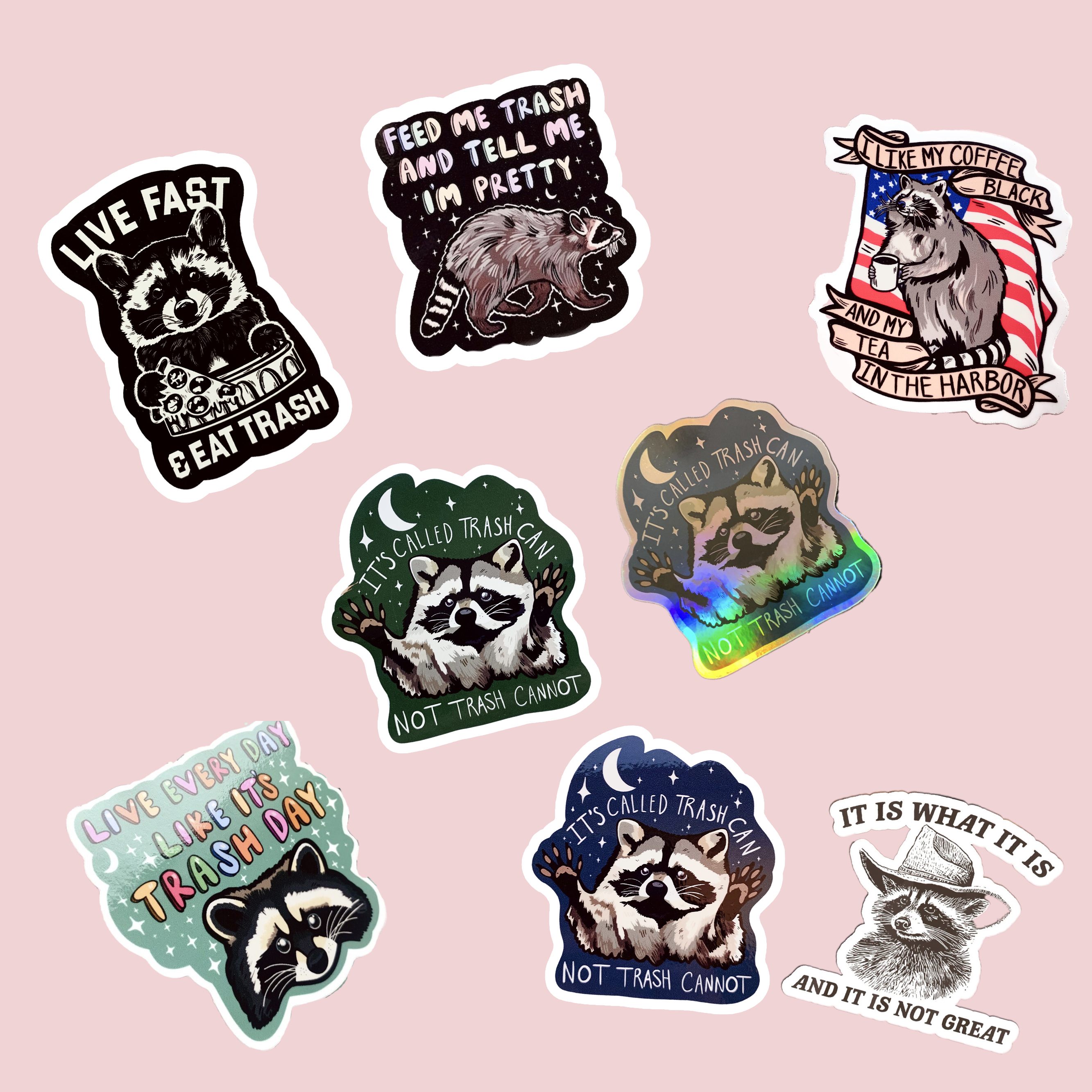🦝🗑️Funny Raccoon Sticker