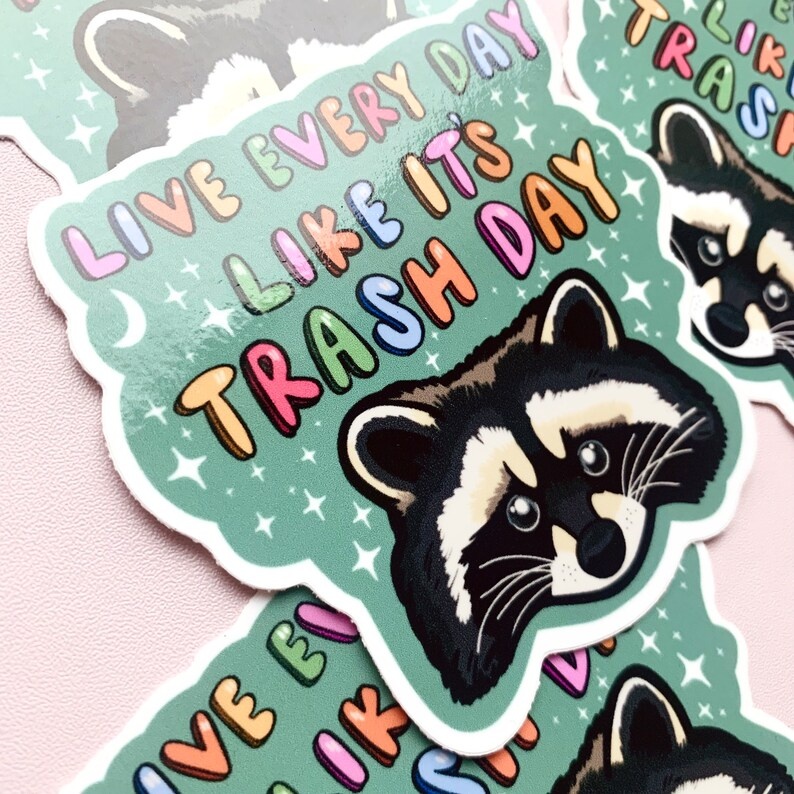 🦝🗑️Funny Raccoon Sticker