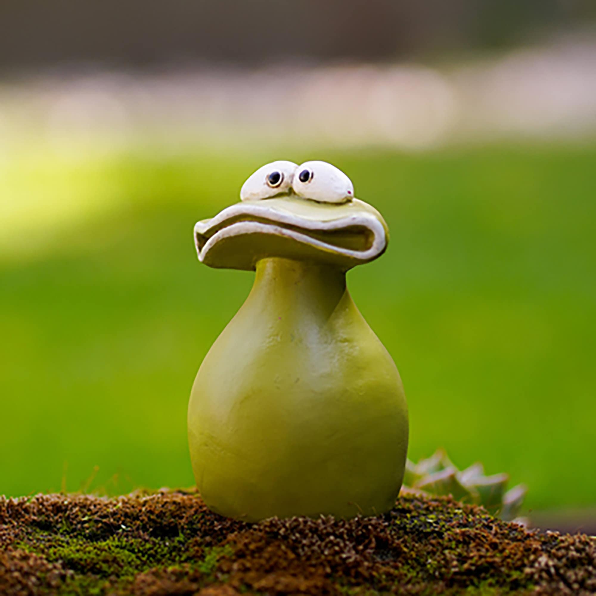 🐸Frog Yard Art Decorations