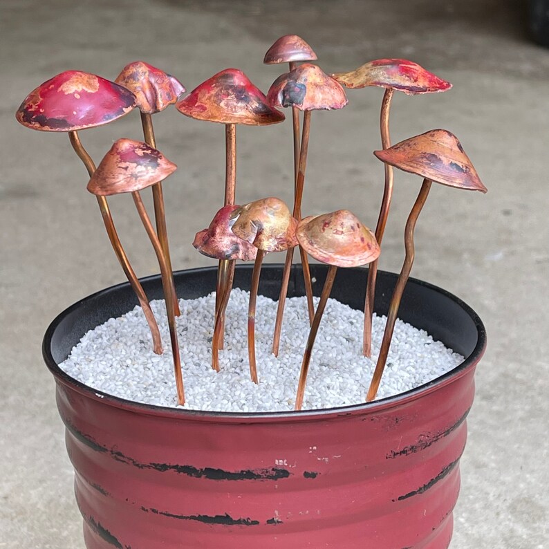 Metal Mushroom Pot Plugin