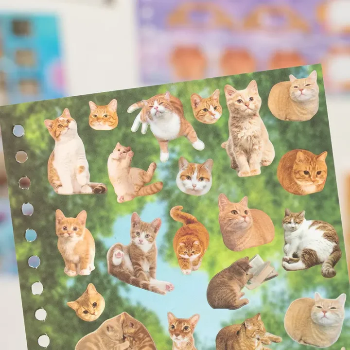 Fluffy Diary Sticker Book