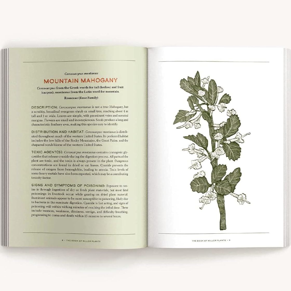 The Book of Killer Plants: A Field Guide to Nature's Deadliest Creations