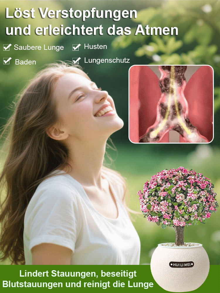 Sofort aufstellen & frische Luft genießen! 🌬️ Die pflegeleichte Pflanze, die kein Gießen braucht. 🌱