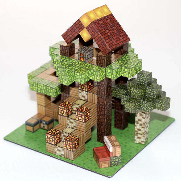 Pixy Blocks - Magnetic Building Blocks