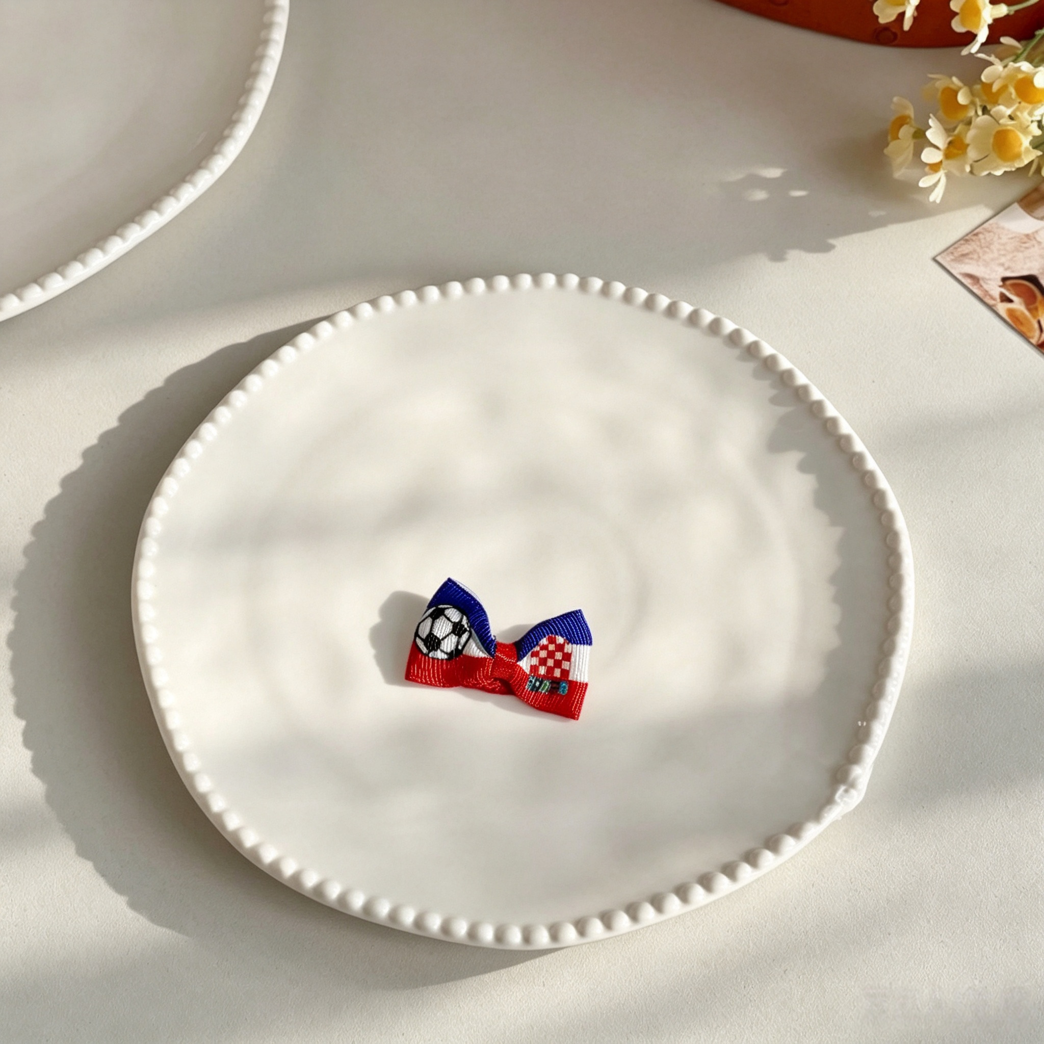10pcs World Cup Soccer National Flag Mini Bow Pet Hair Clips