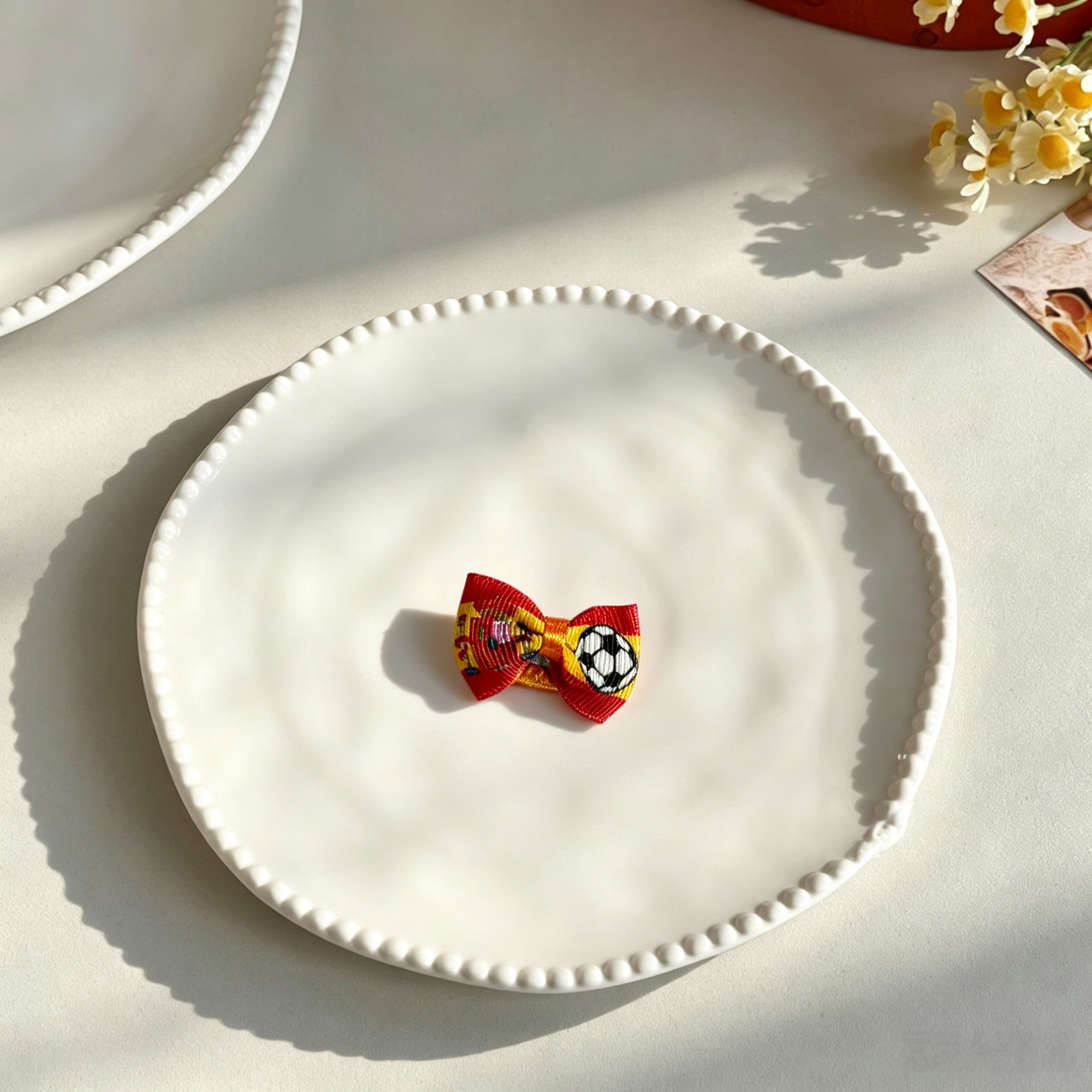 10pcs World Cup Soccer National Flag Mini Bow Pet Hair Clips