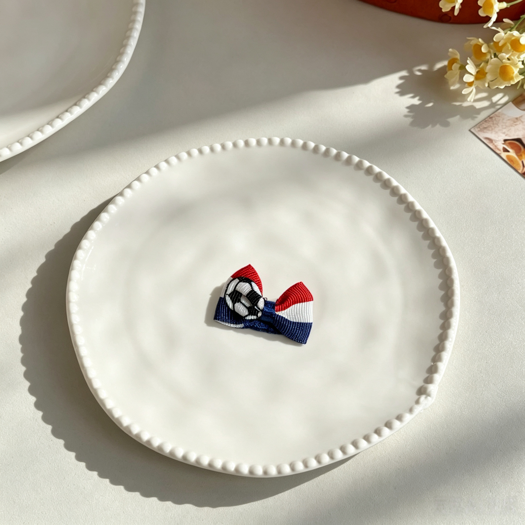 10pcs World Cup Soccer National Flag Mini Bow Pet Hair Clips
