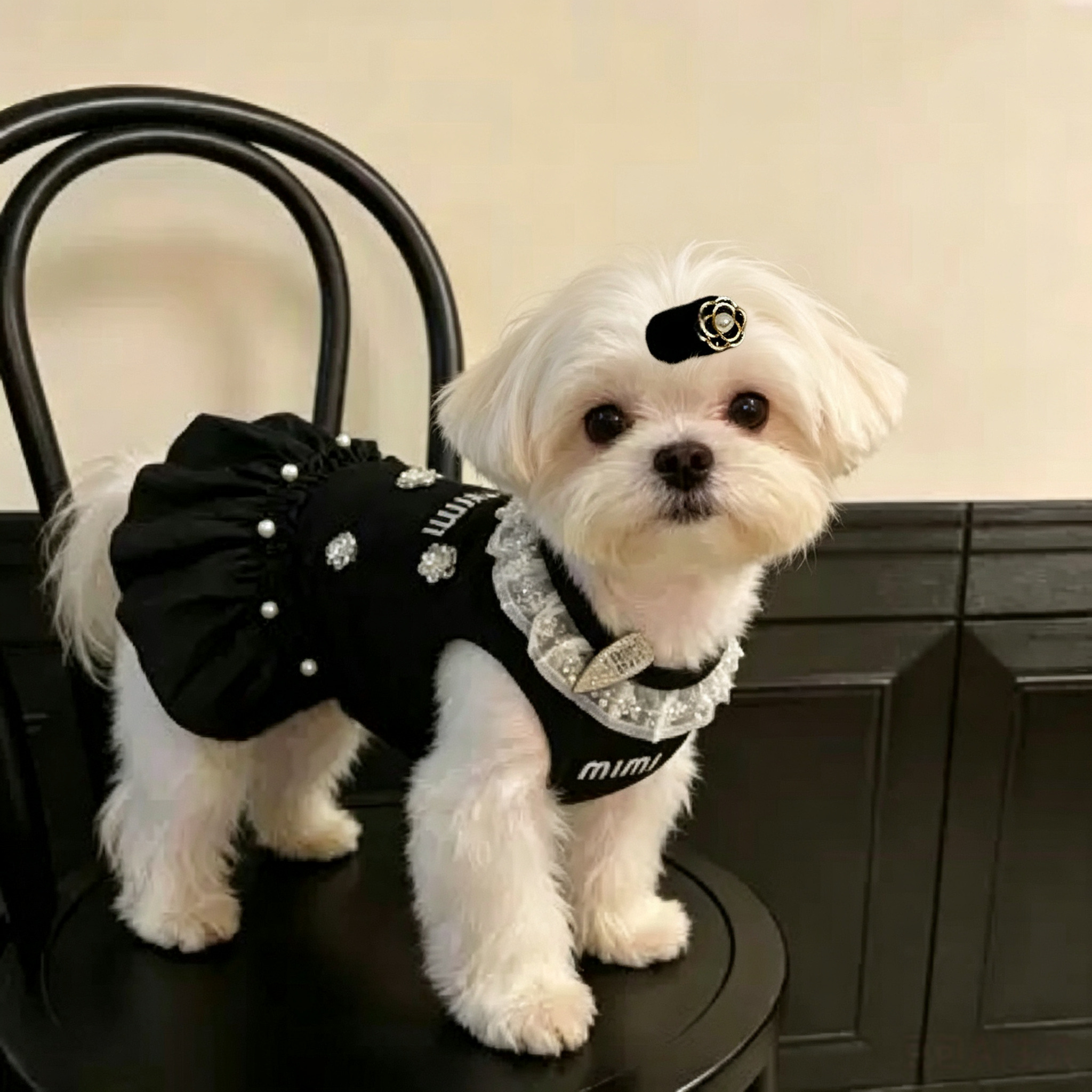 [Copy]Double Layer Elegant Black Pet Hair Clips