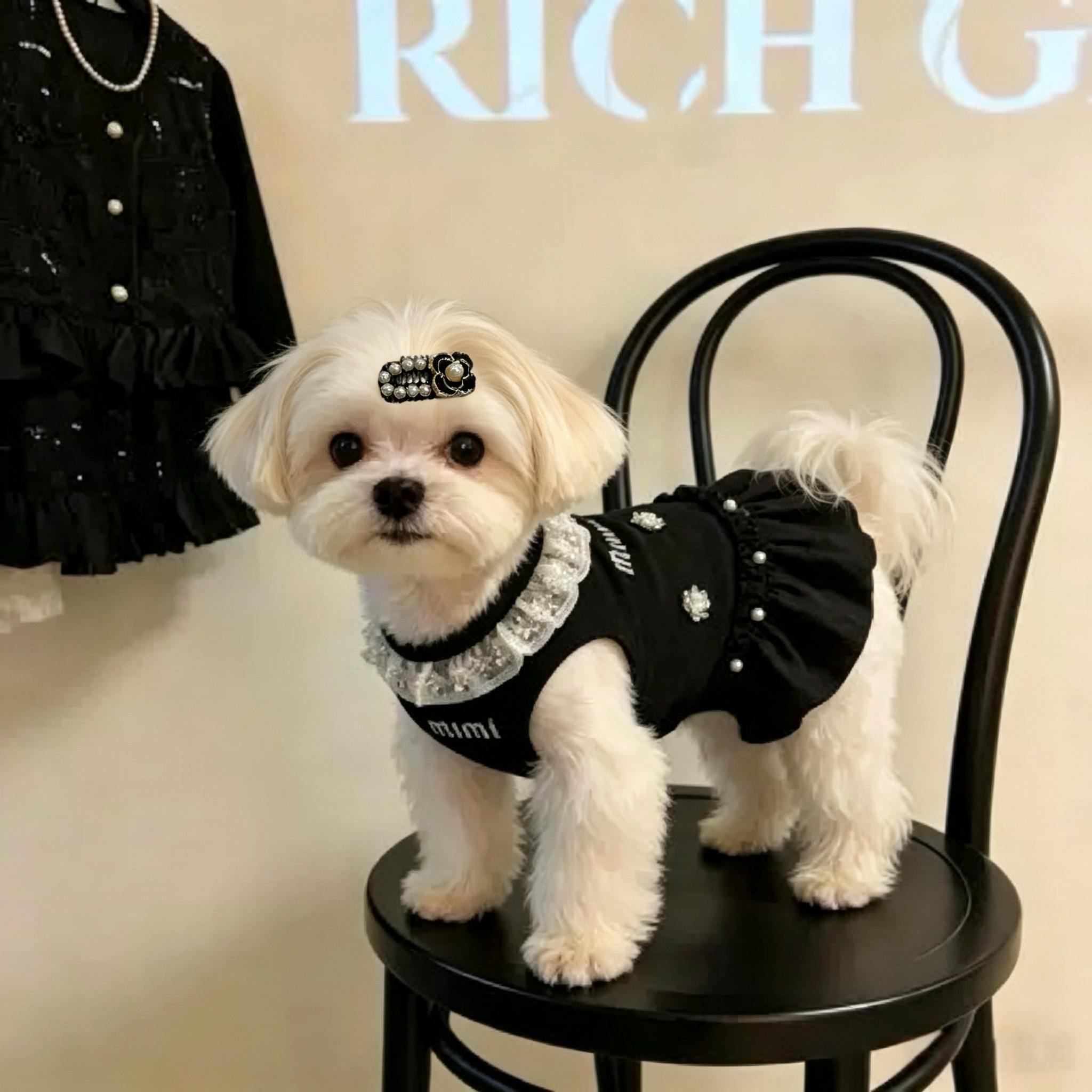 Classic Black Pet Hair Clips
