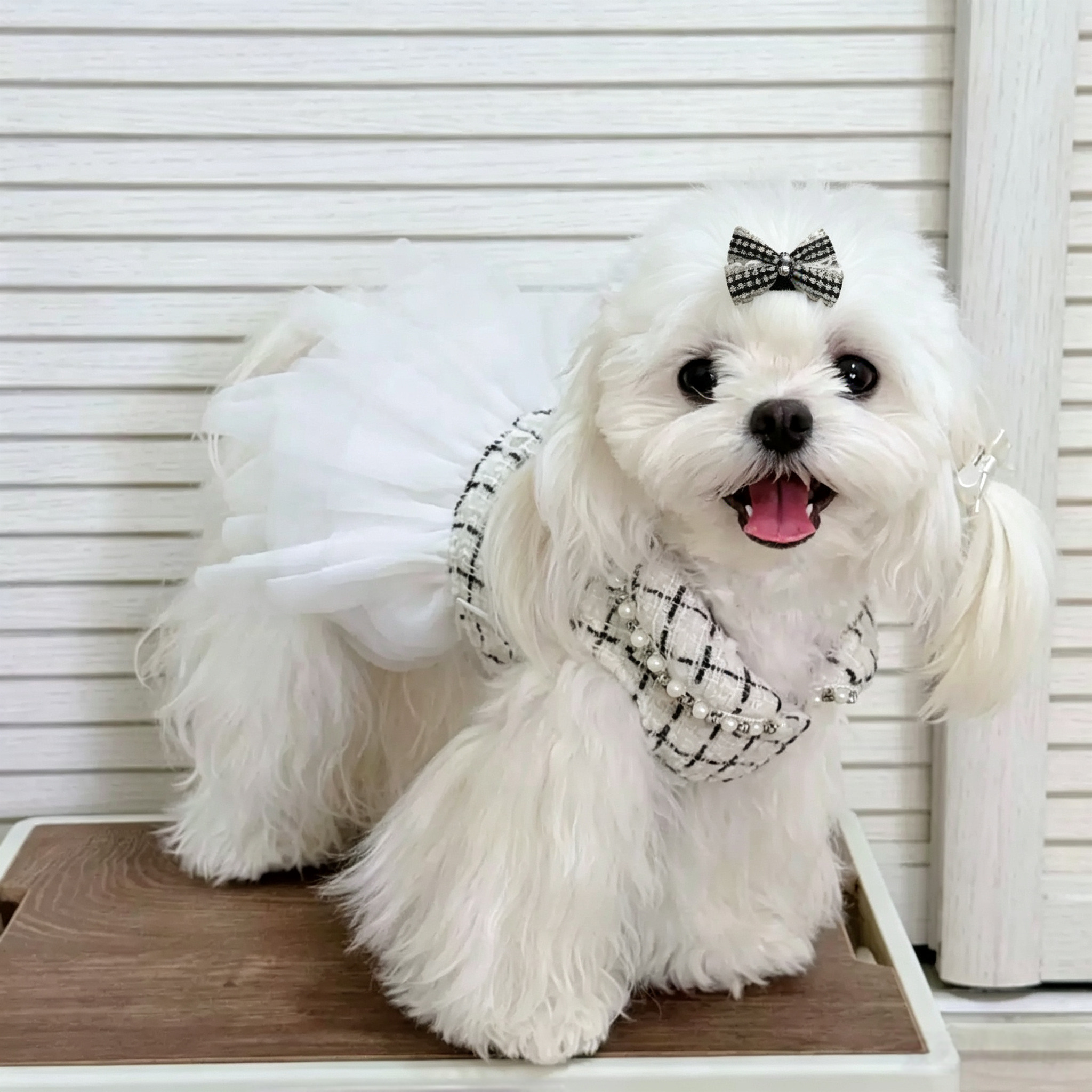 Multi-Color Velvet Tulle Bow Pet Hair Clips