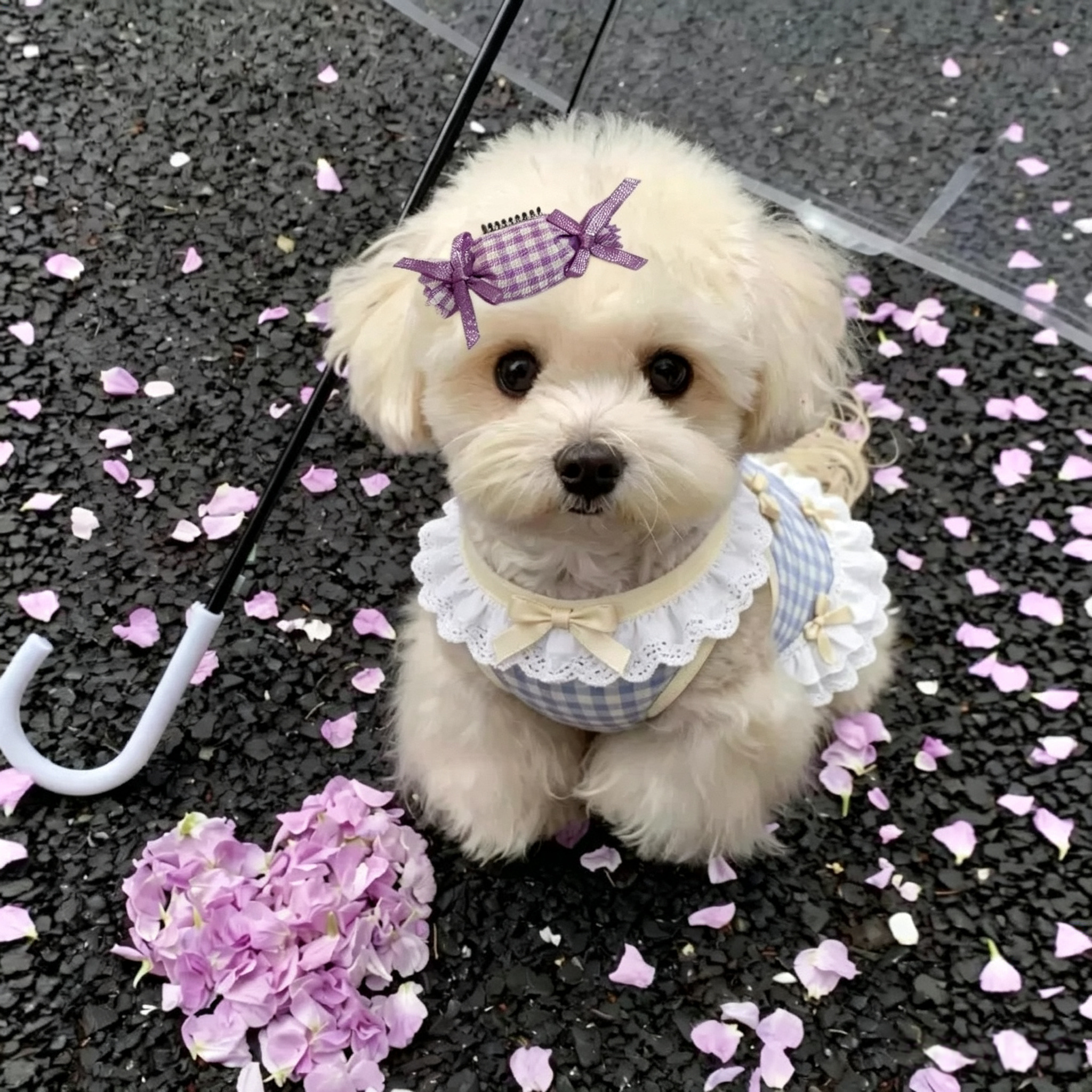 Purple Candy Handmade Pet Hair Clips 