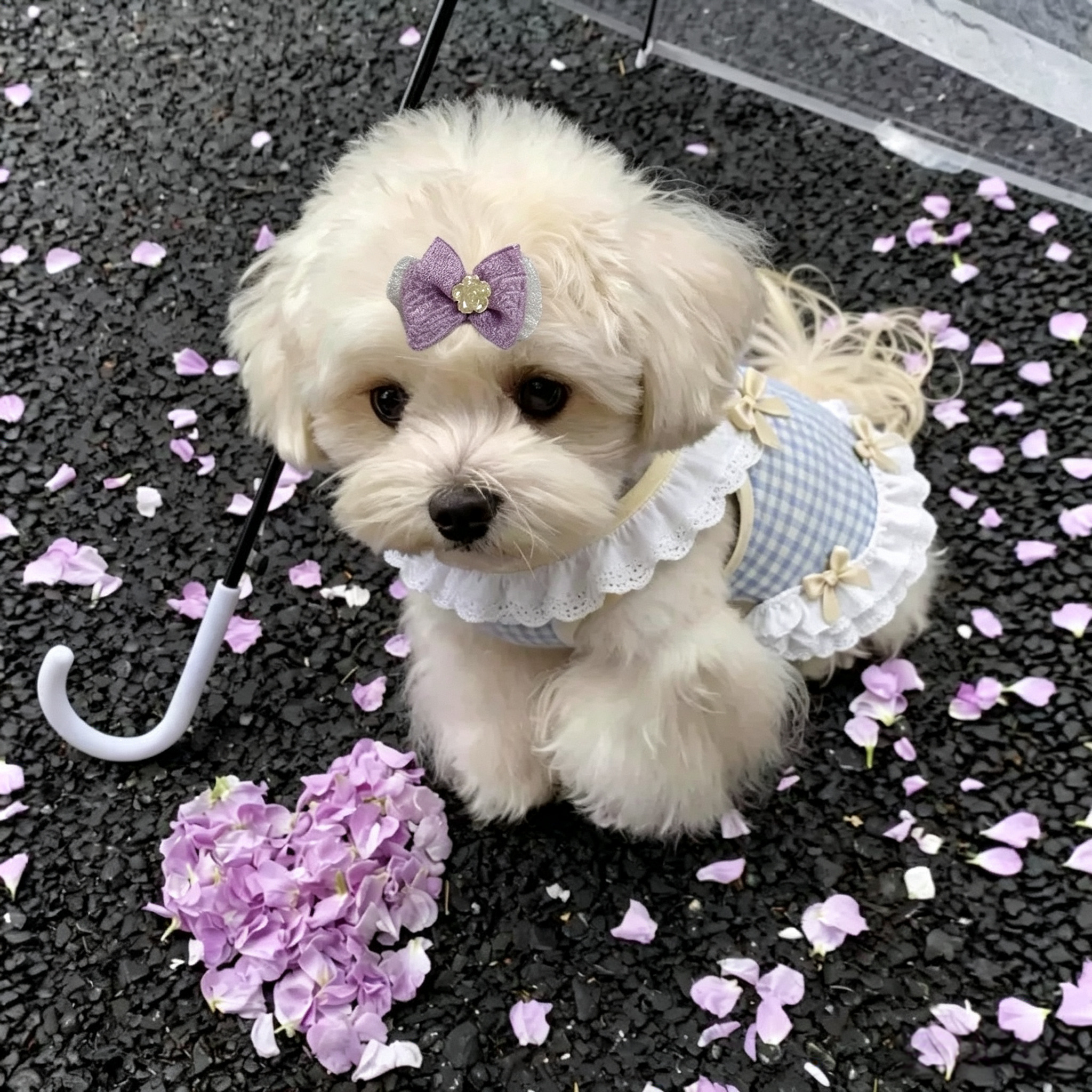 Elegant Purple Bow Handmade Pet Hair Clips 