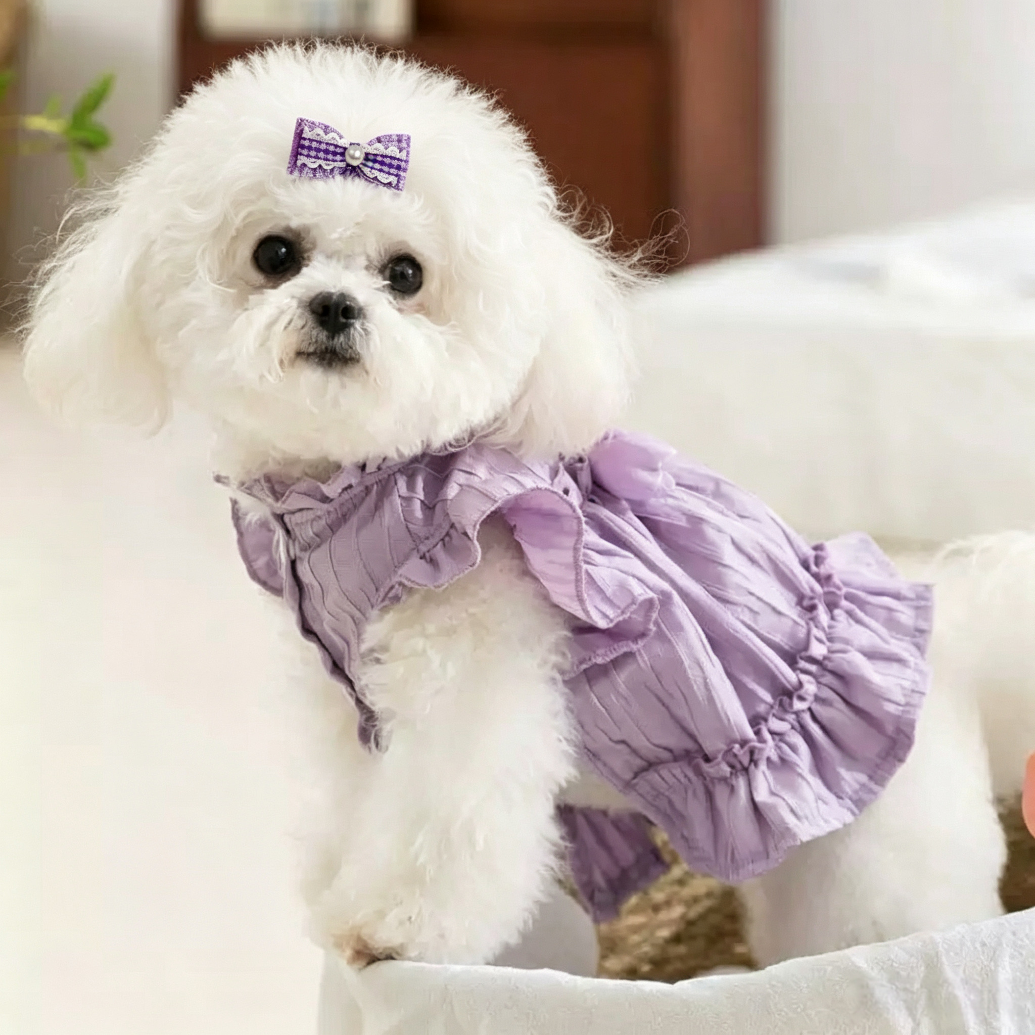Velvet Purple Handmade Pet Hair Clips 