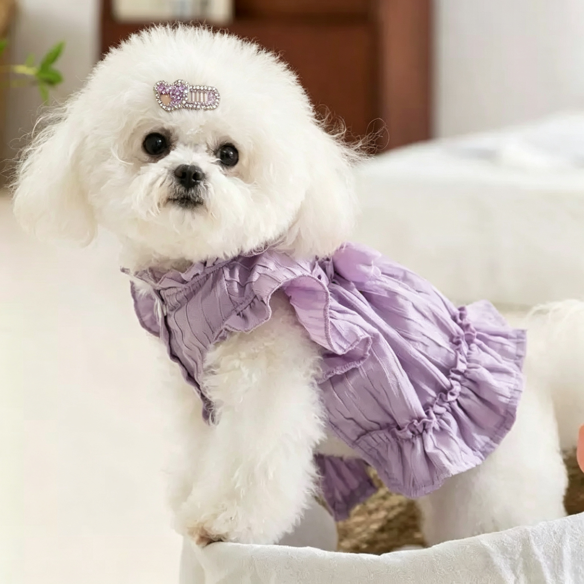 CamelliaPurple Handmade Pet Hair Clips 