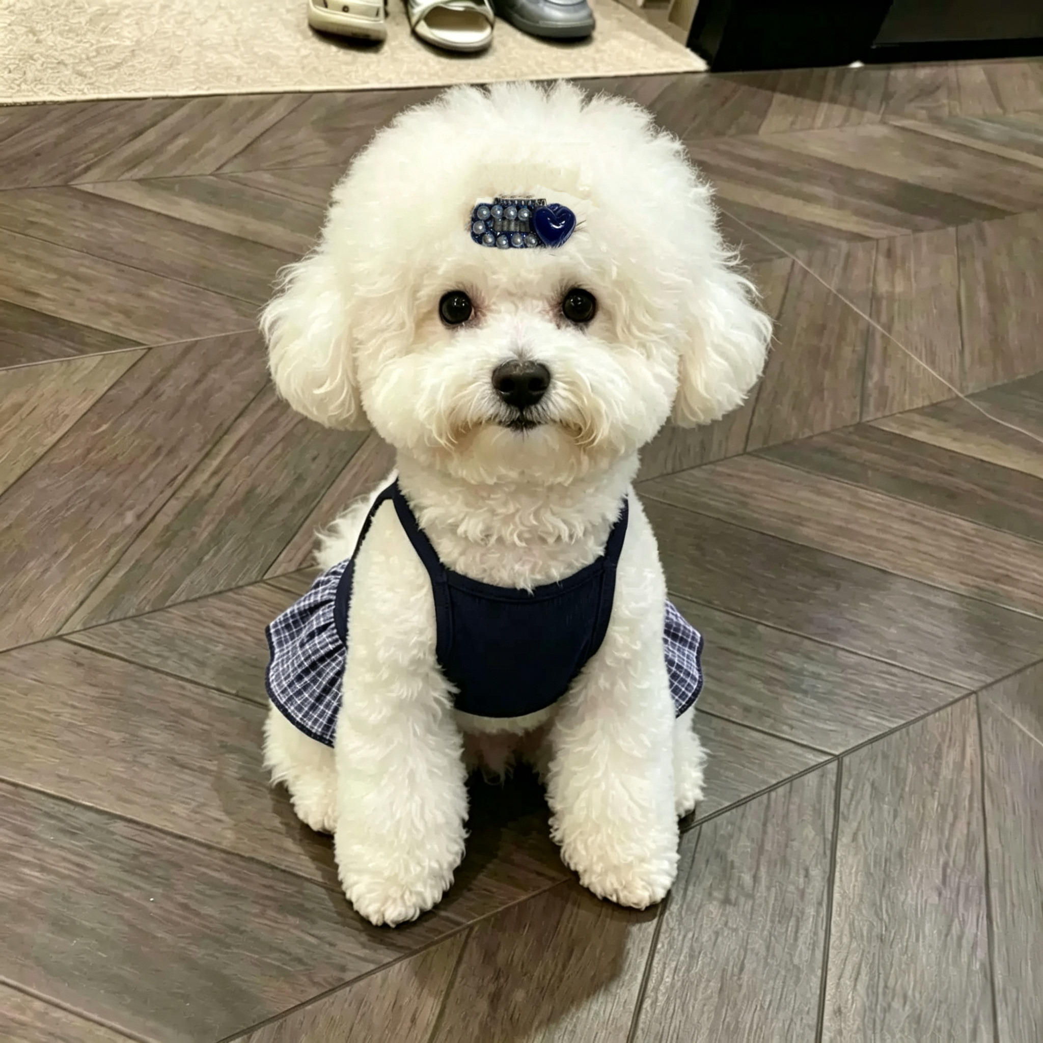Blue Heart Handmade Pet Hair Clips