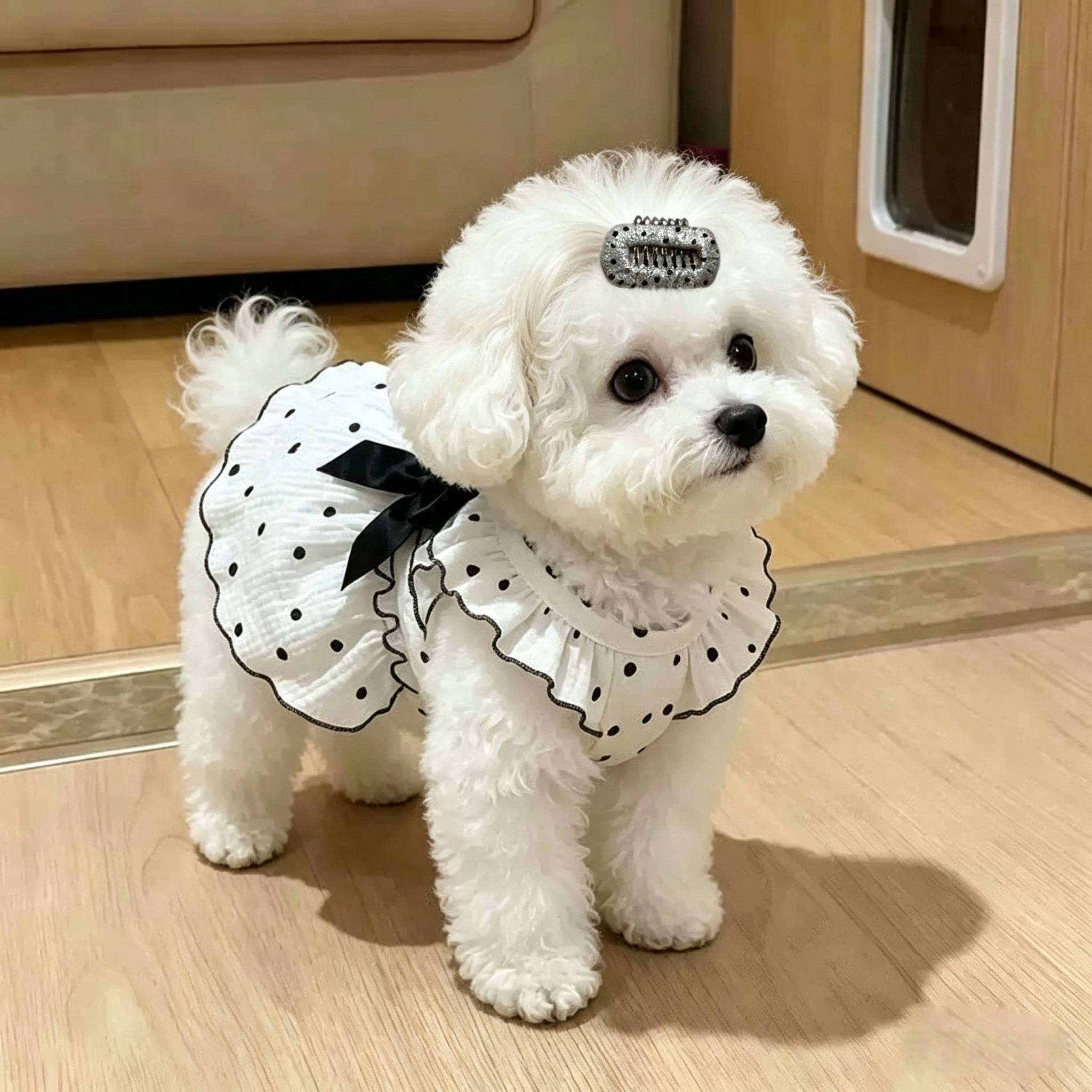 Rhinestone Rectangle Pet Hair Clips