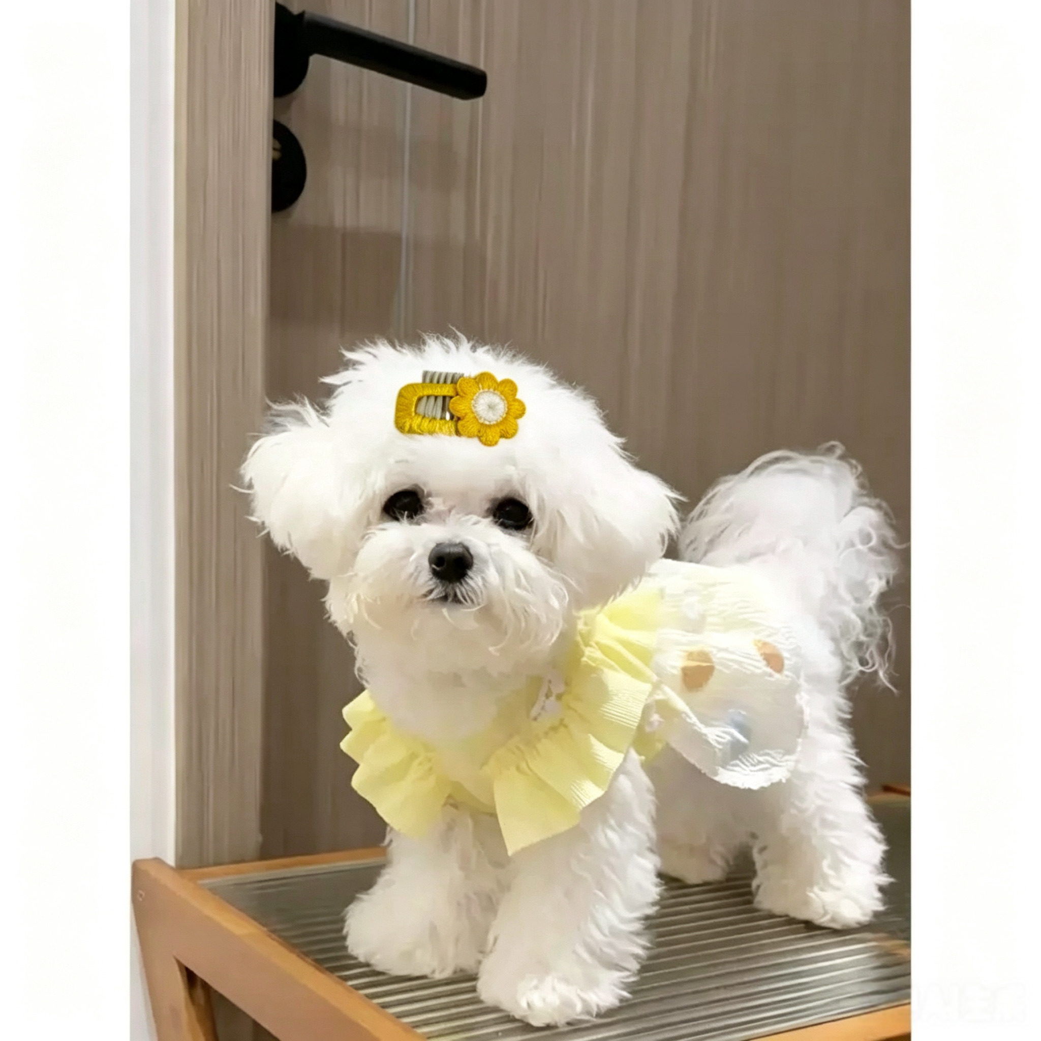 Handmade Crochet Daisy Flower Pet Hair Clips