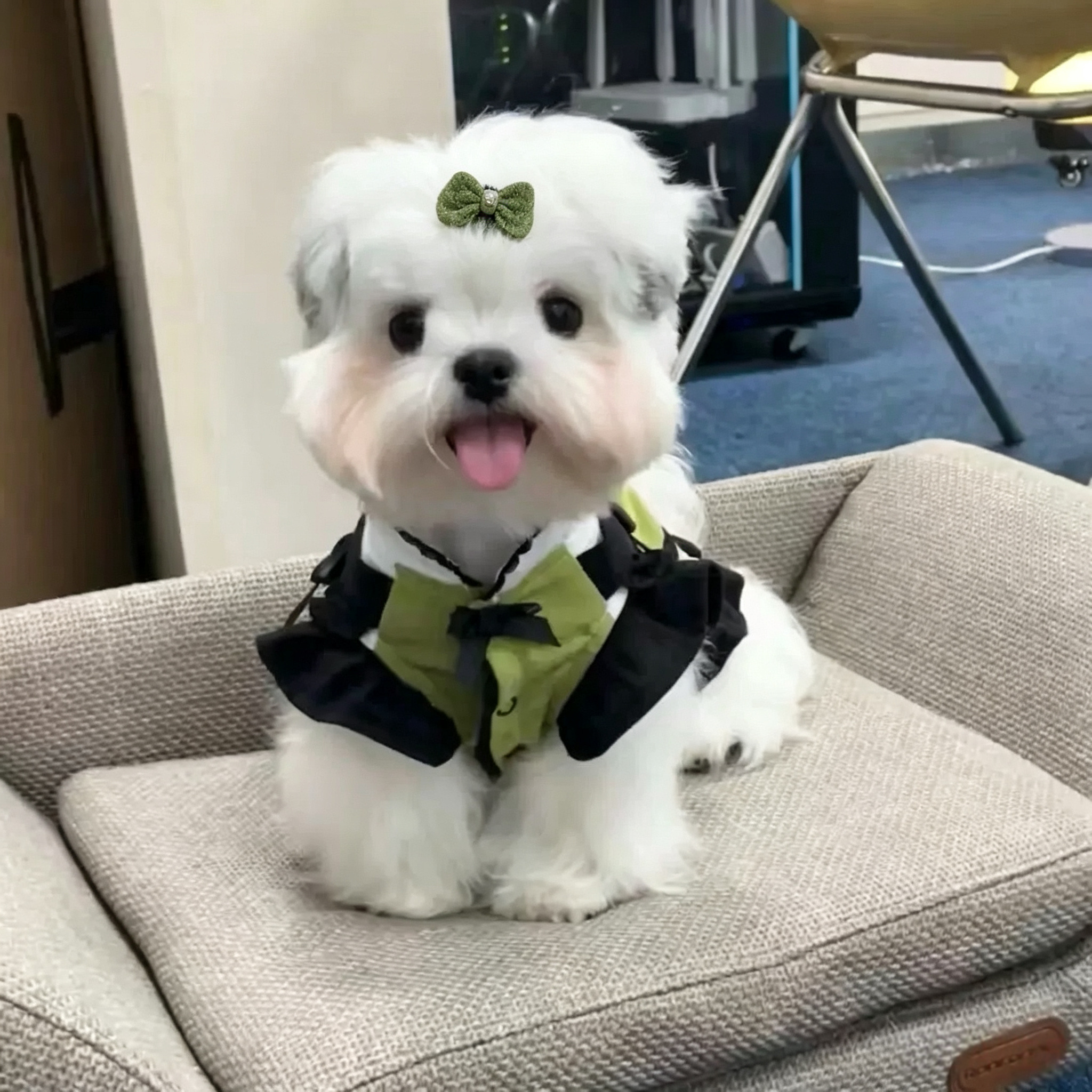 Mini Embroidery Satin Pearl Bow Pet Hair Clips