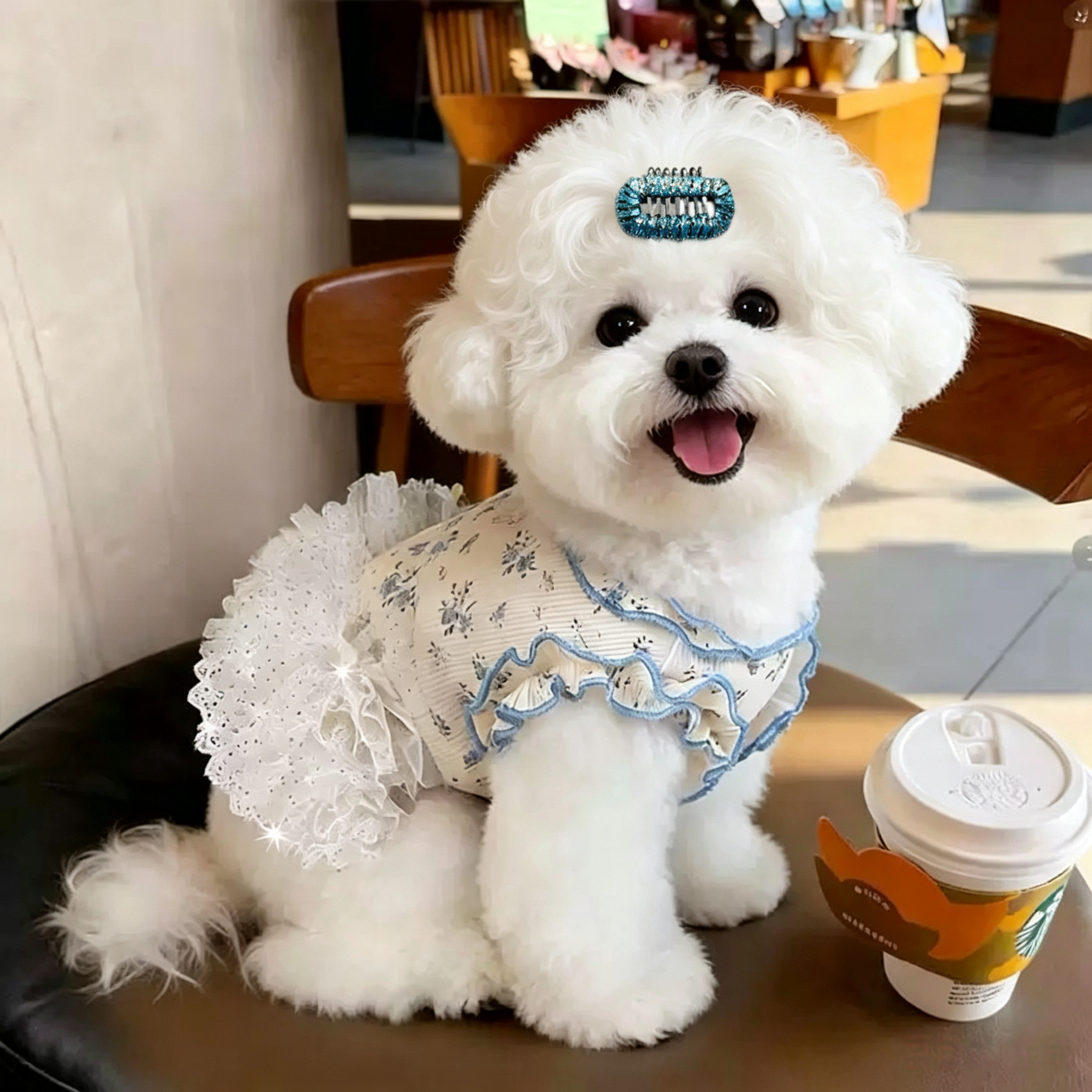 Rhinestone Rectangle Pet Hair Clips