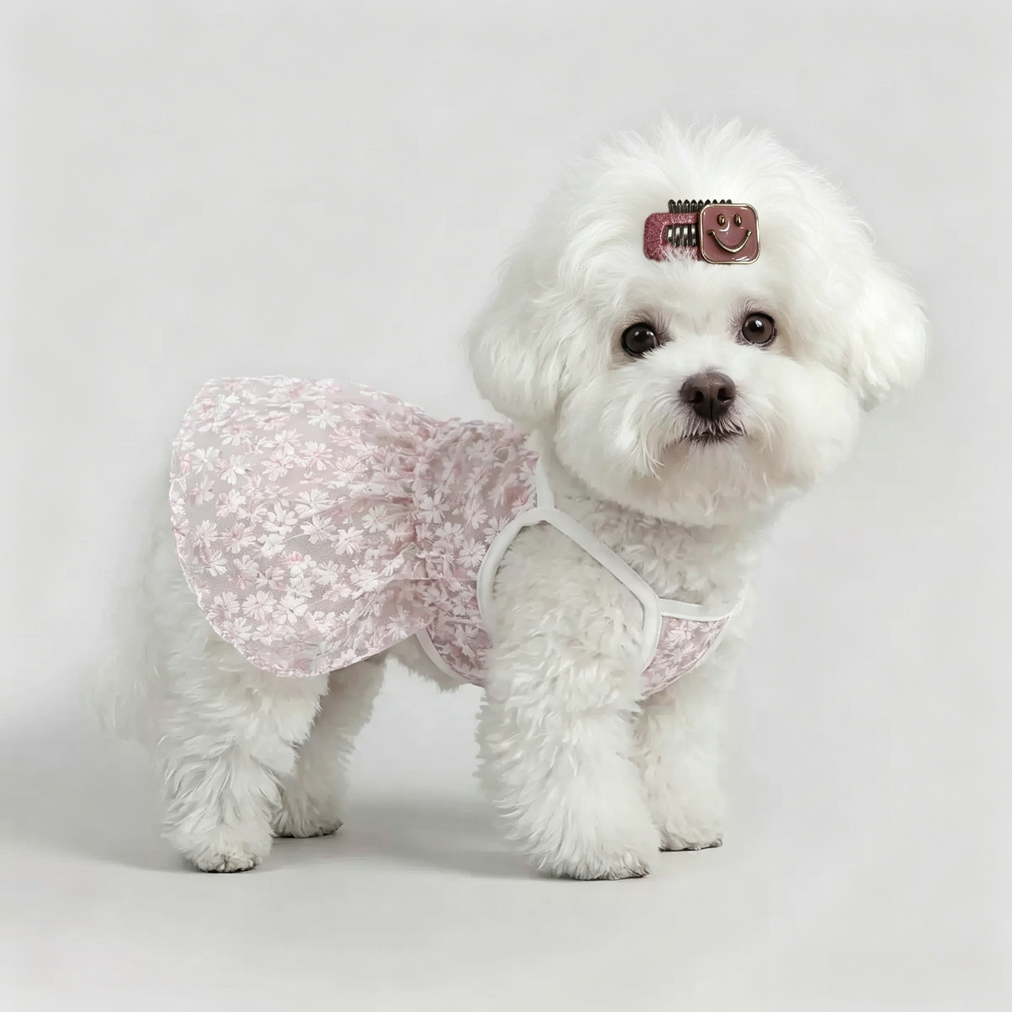Cute Square Smile Face Pet Hair Clips