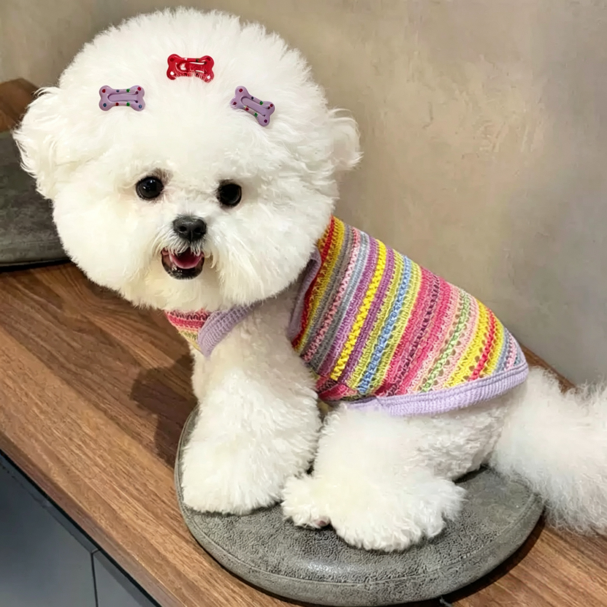 6pcs Cute Colorful Polka Dot Bone Shape Pet Hair Clips,