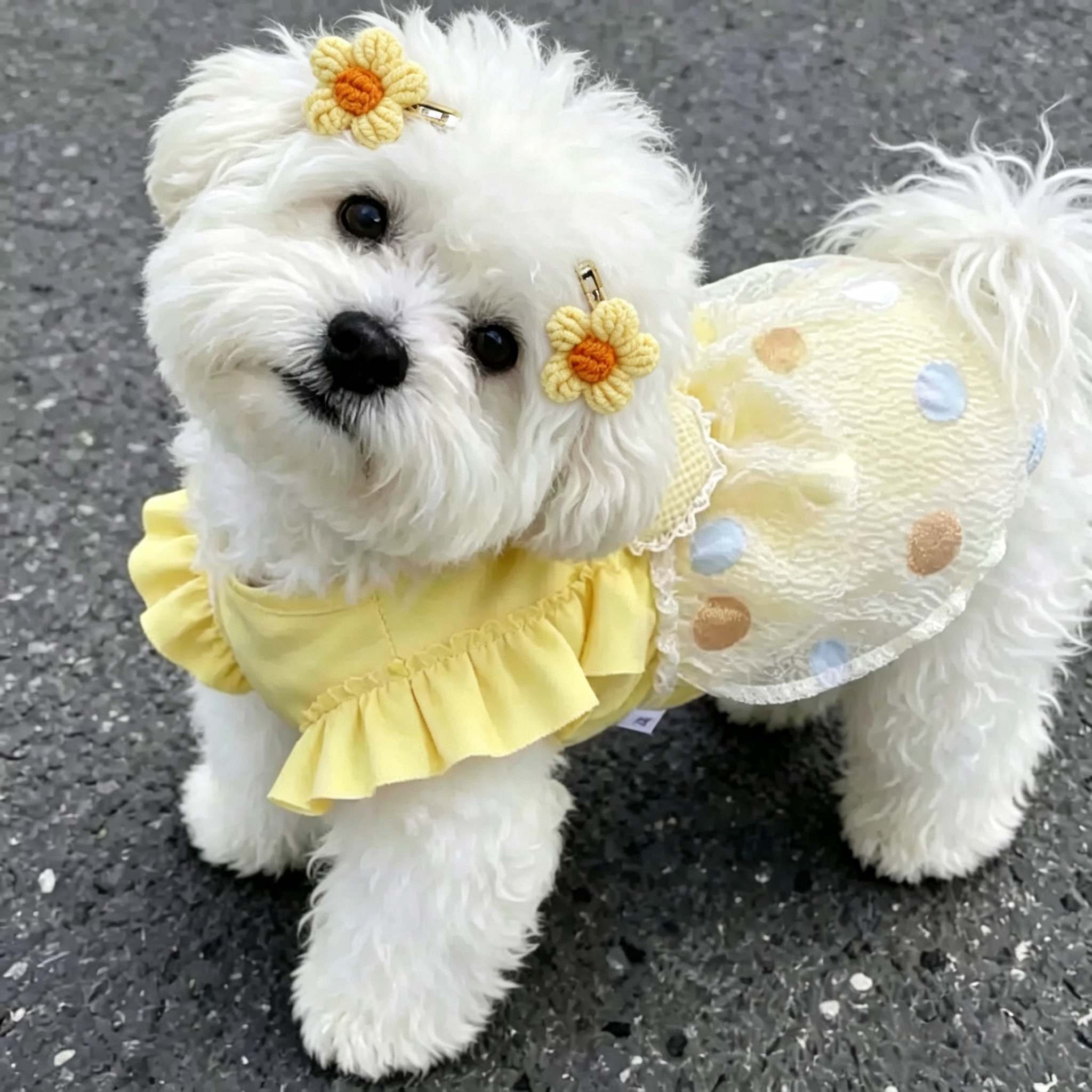 2pcs Yellow Flower Hand Crochet Flower Yarn Mini Pet Hair Clips
