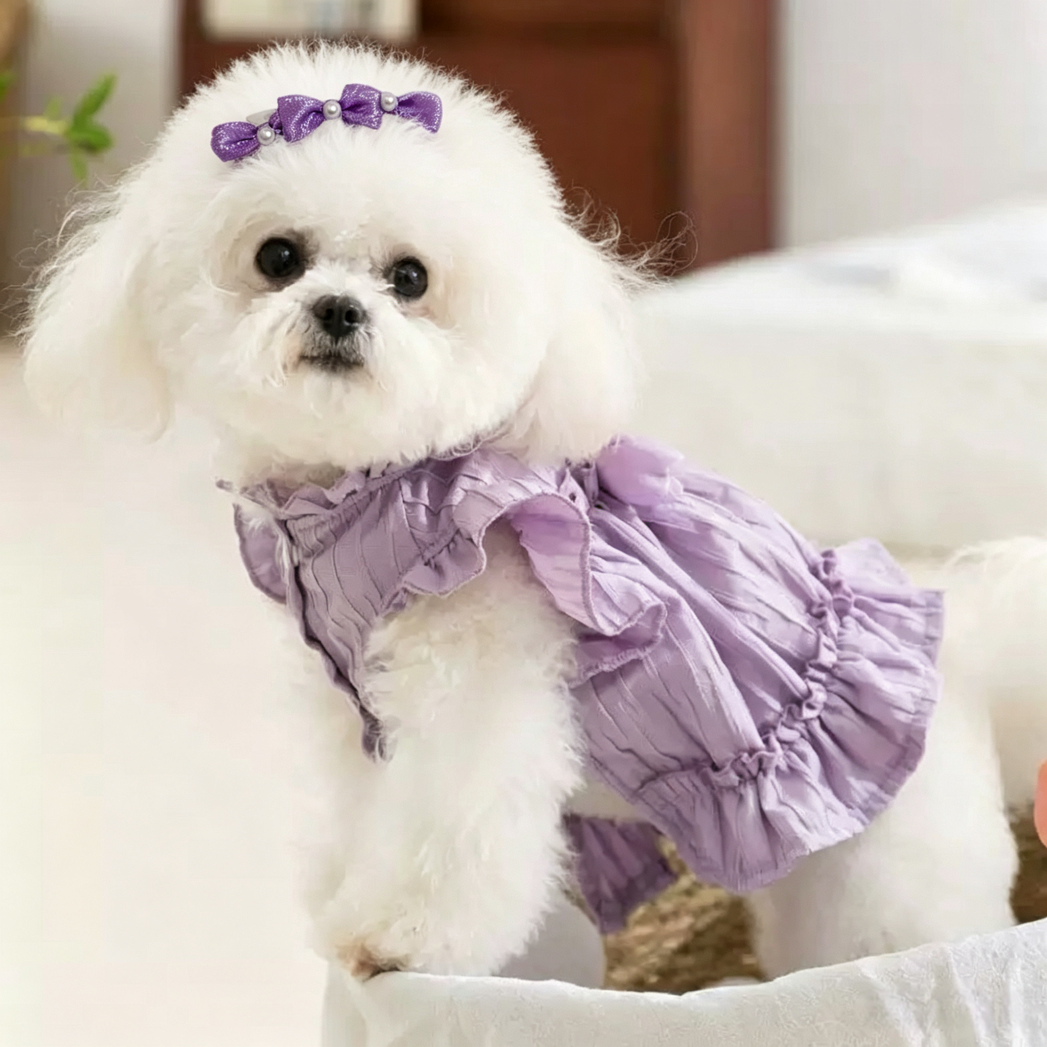 Purple Series Handmade Pet Hair Clips 