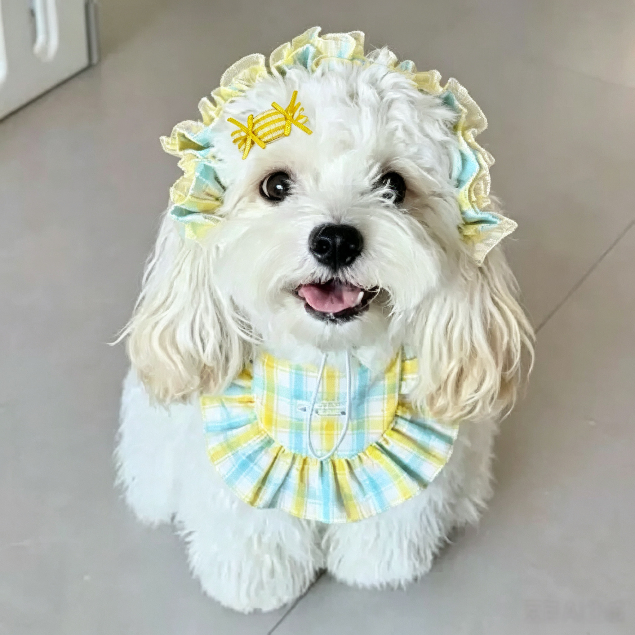 Cute Candy Design Handmade Pet Hair Clips