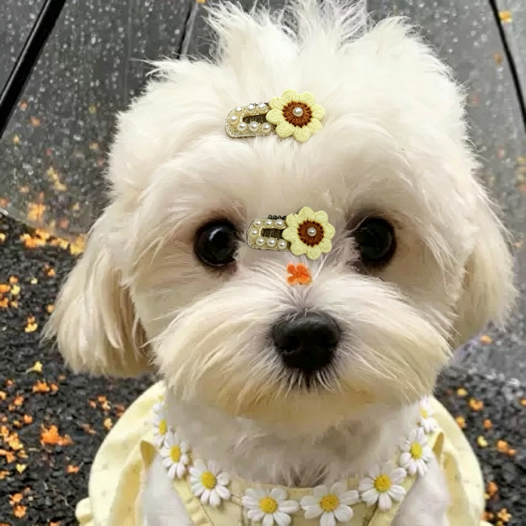 Yellow Folwer Handmade Pet Hair Clips